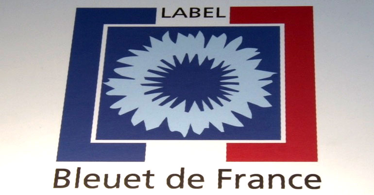 Bleuet de France